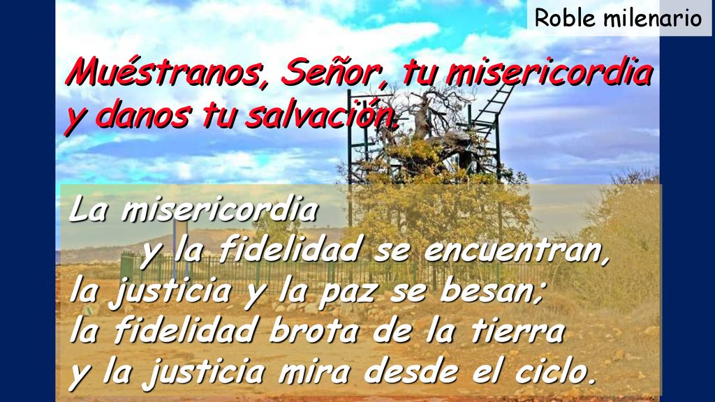 Muéstranos, Señor, tu misericordia y danos tu salvación.