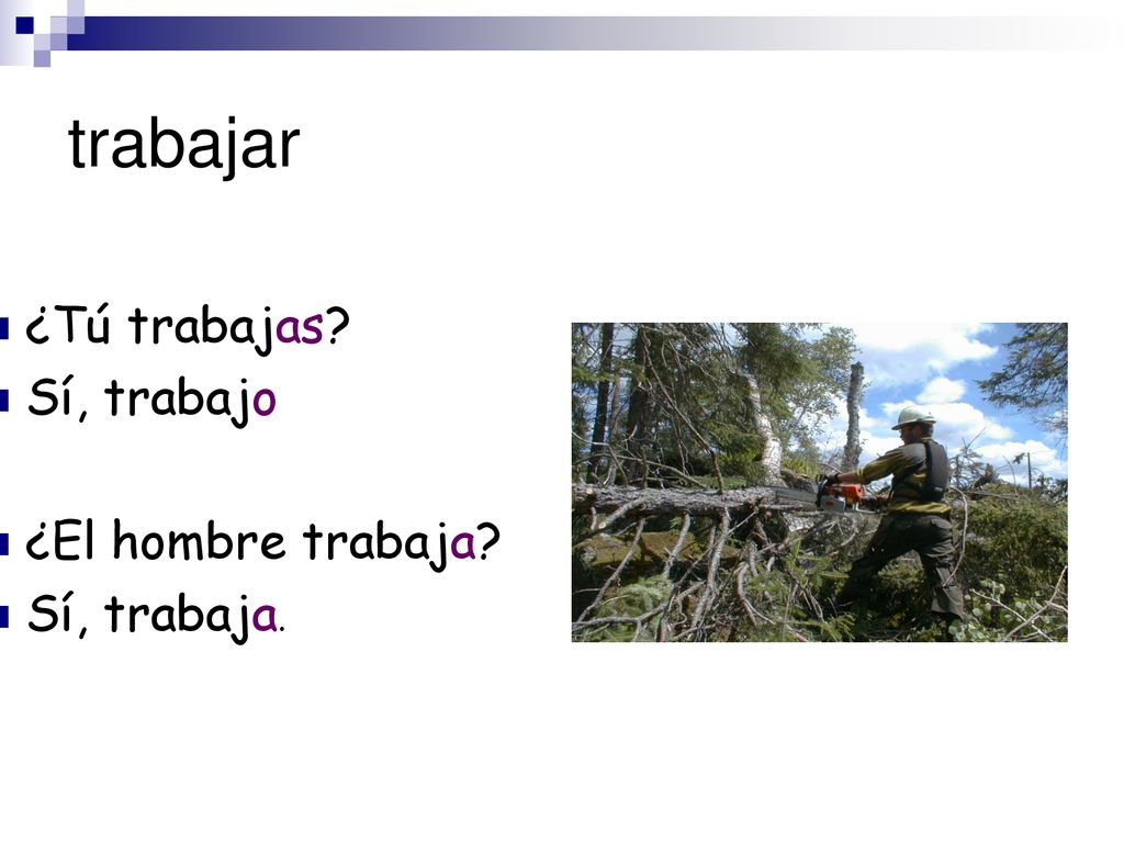 trabajar ¿Tú trabajas Sí, trabajo ¿El hombre trabaja Sí, trabaja.