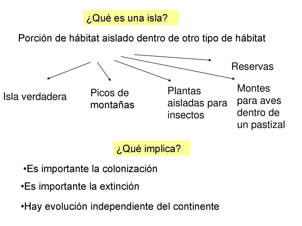¿Qué es una isla Porción de hábitat aislado dentro de otro tipo de hábitat. Reservas. Montes para aves dentro de un pastizal.