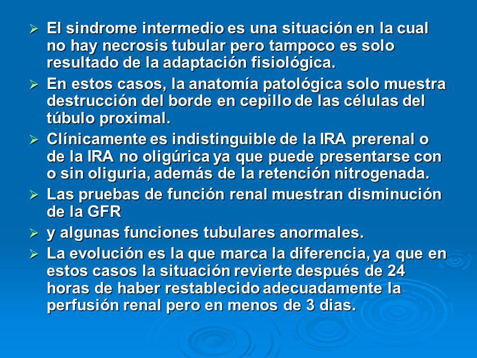 El sindrome intermedio es una situación en la cual no hay necrosis tubular pero tampoco es solo resultado de la adaptación fisiológica.