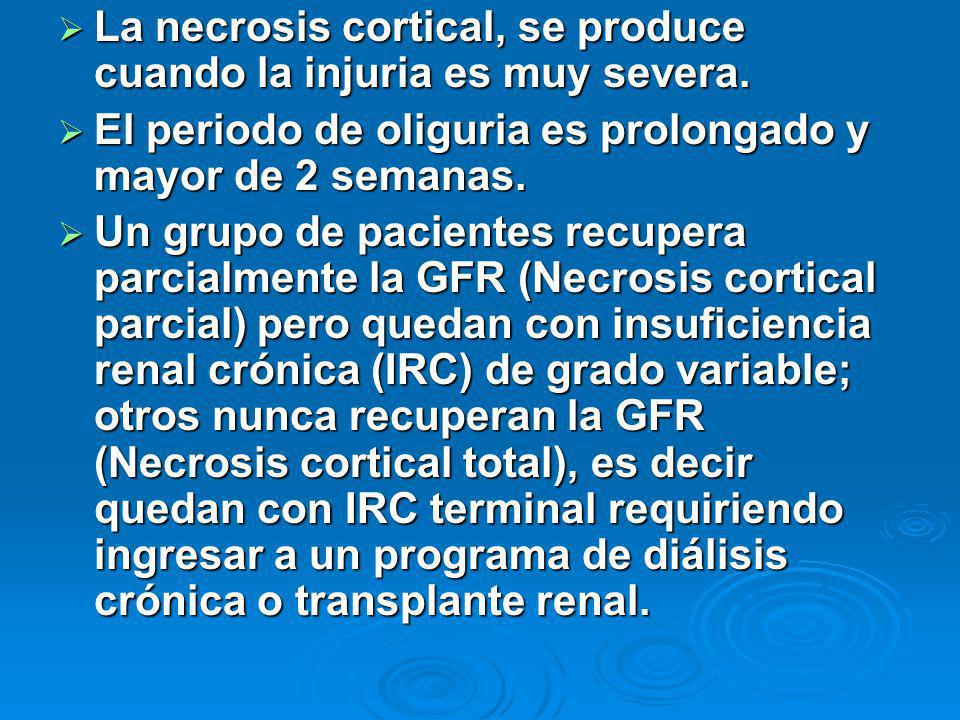 La necrosis cortical, se produce cuando la injuria es muy severa.