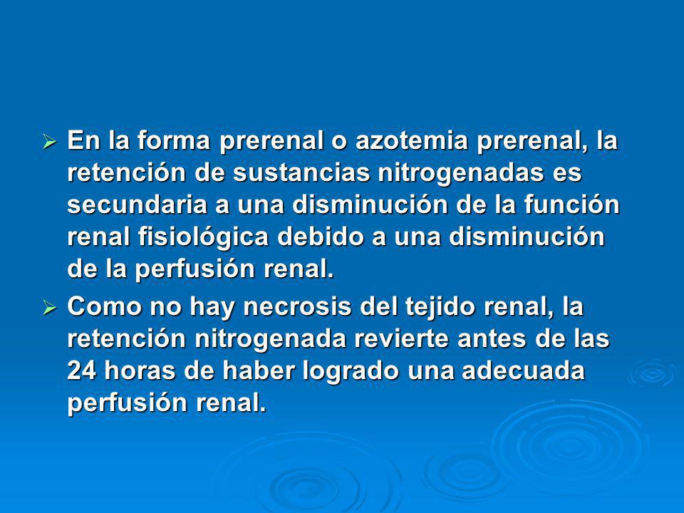 En la forma prerenal o azotemia prerenal, la retención de sustancias nitrogenadas es secundaria a una disminución de la función renal fisiológica debido a una disminución de la perfusión renal.