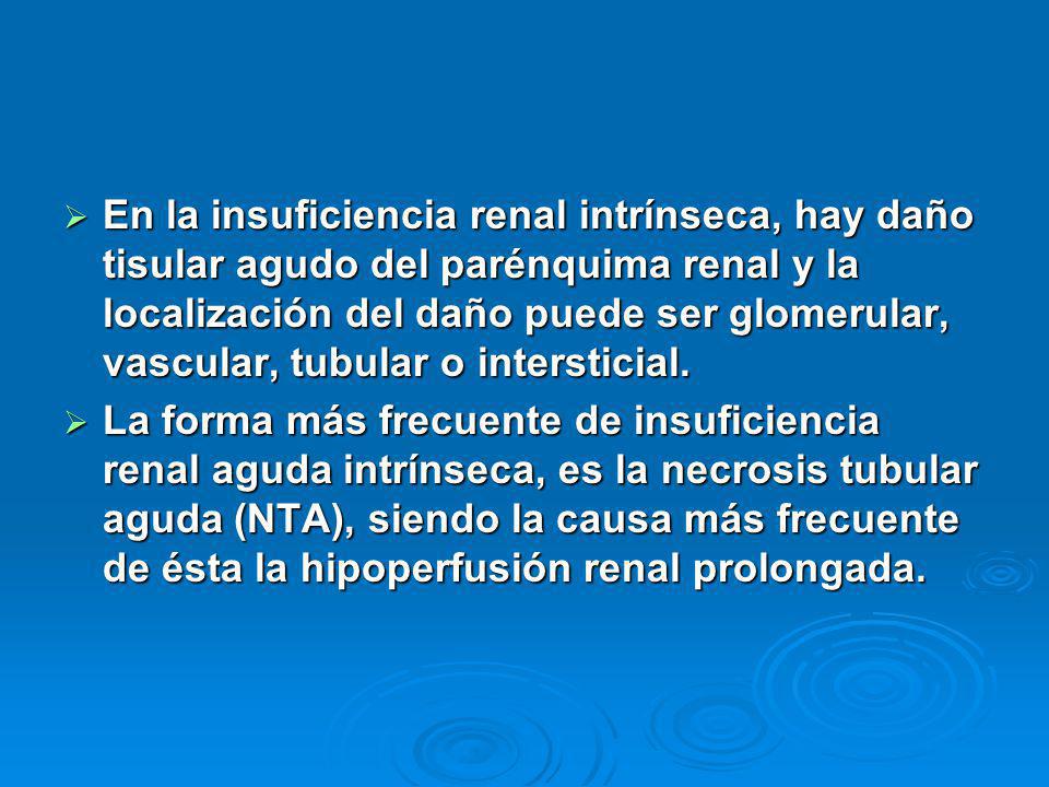 En la insuficiencia renal intrínseca, hay daño tisular agudo del parénquima renal y la localización del daño puede ser glomerular, vascular, tubular o intersticial.