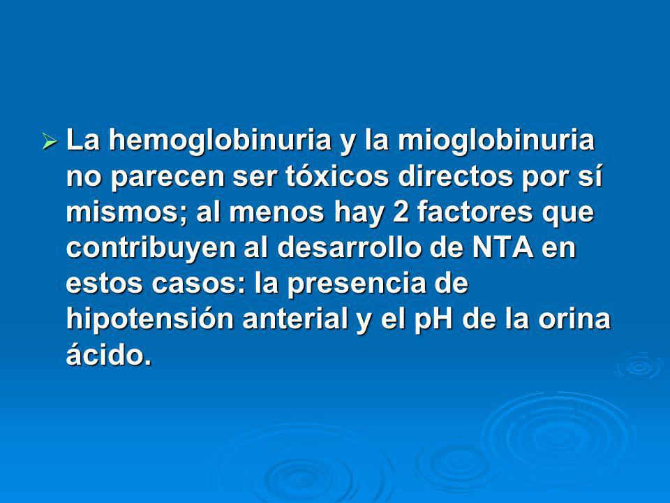 La hemoglobinuria y la mioglobinuria no parecen ser tóxicos directos por sí mismos; al menos hay 2 factores que contribuyen al desarrollo de NTA en estos casos: la presencia de hipotensión anterial y el pH de la orina ácido.