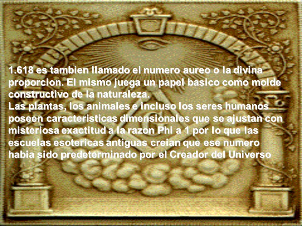es tambien llamado el numero aureo o la divina proporcion