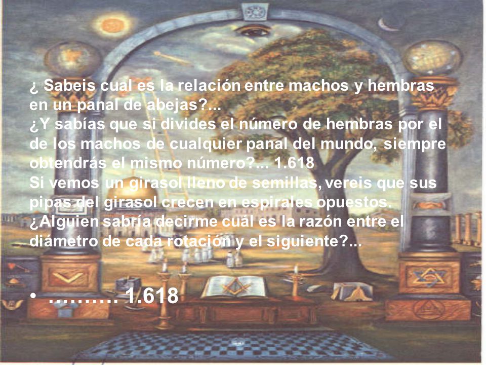 ¿ Sabeis cual es la relación entre machos y hembras en un panal de abejas ... ¿Y sabías que si divides el número de hembras por el de los machos de cualquier panal del mundo, siempre obtendrás el mismo número Si vemos un girasol lleno de semillas, vereis que sus pipas del girasol crecen en espirales opuestos. ¿Alguien sabría decirme cuál es la razón entre el diámetro de cada rotación y el siguiente ...