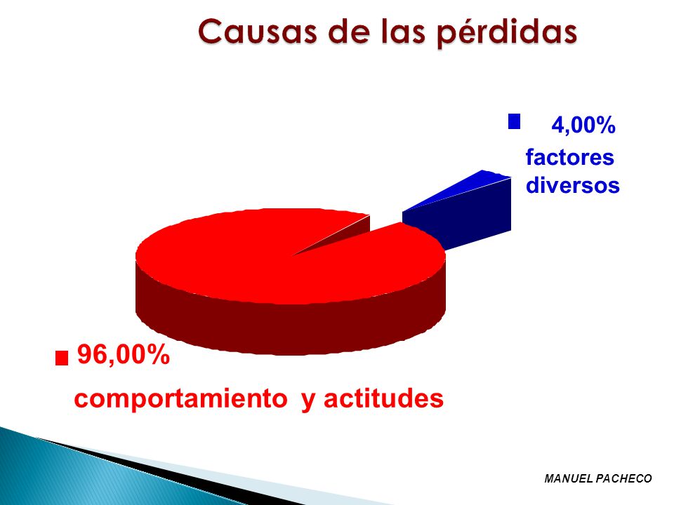 Causas de las pérdidas 96,00% comportamiento y actitudes 4,00%