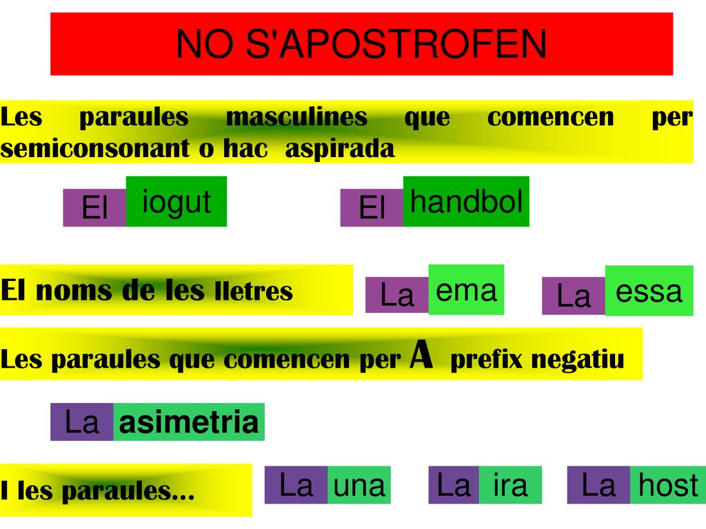 Les paraules masculines que comencen per semiconsonant o hac aspirada