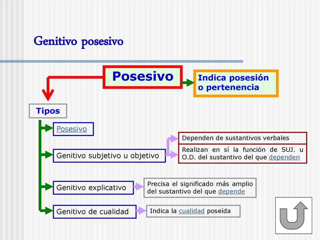 Genitivo posesivo Posesivo Indica posesión o pertenencia Tipos