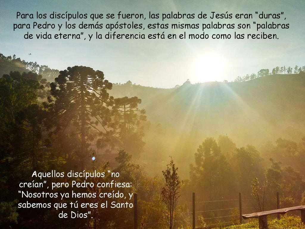 Para los discípulos que se fueron, las palabras de Jesús eran duras , para Pedro y los demás apóstoles, estas mismas palabras son palabras de vida eterna , y la diferencia está en el modo como las reciben.
