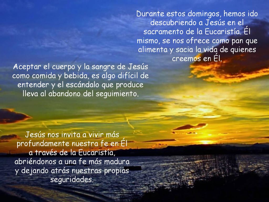 Durante estos domingos, hemos ido descubriendo a Jesús en el sacramento de la Eucaristía. Él mismo, se nos ofrece como pan que alimenta y sacia la vida de quienes creemos en Él.