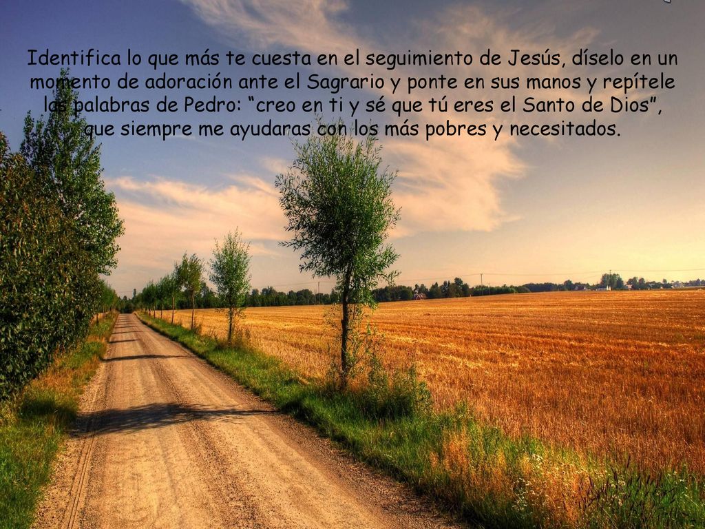 Identifica lo que más te cuesta en el seguimiento de Jesús, díselo en un momento de adoración ante el Sagrario y ponte en sus manos y repítele las palabras de Pedro: creo en ti y sé que tú eres el Santo de Dios , que siempre me ayudaras con los más pobres y necesitados.