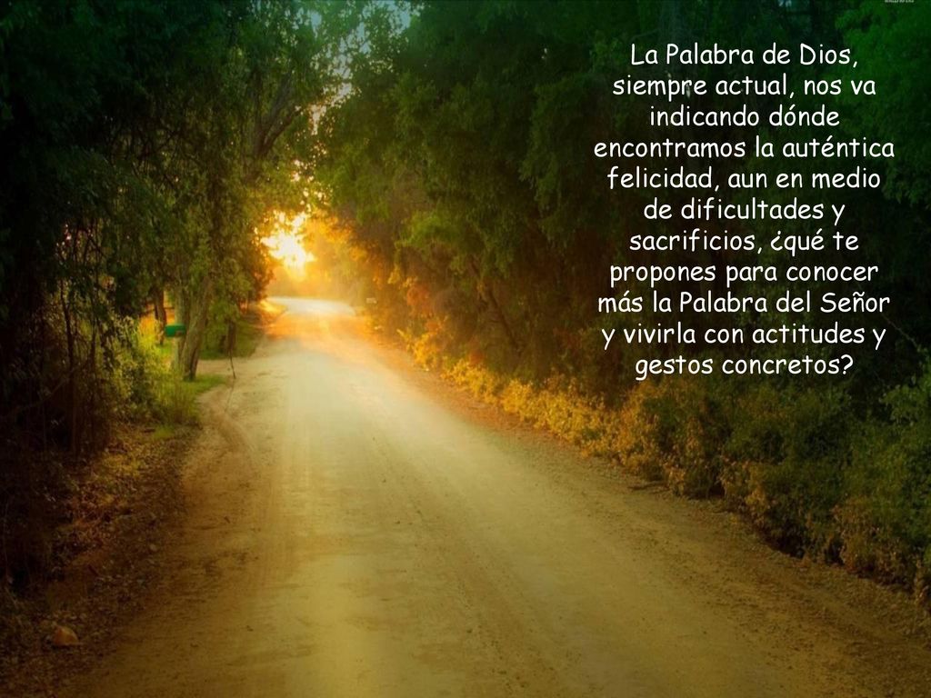 La Palabra de Dios, siempre actual, nos va indicando dónde encontramos la auténtica felicidad, aun en medio de dificultades y sacrificios, ¿qué te propones para conocer más la Palabra del Señor y vivirla con actitudes y gestos concretos