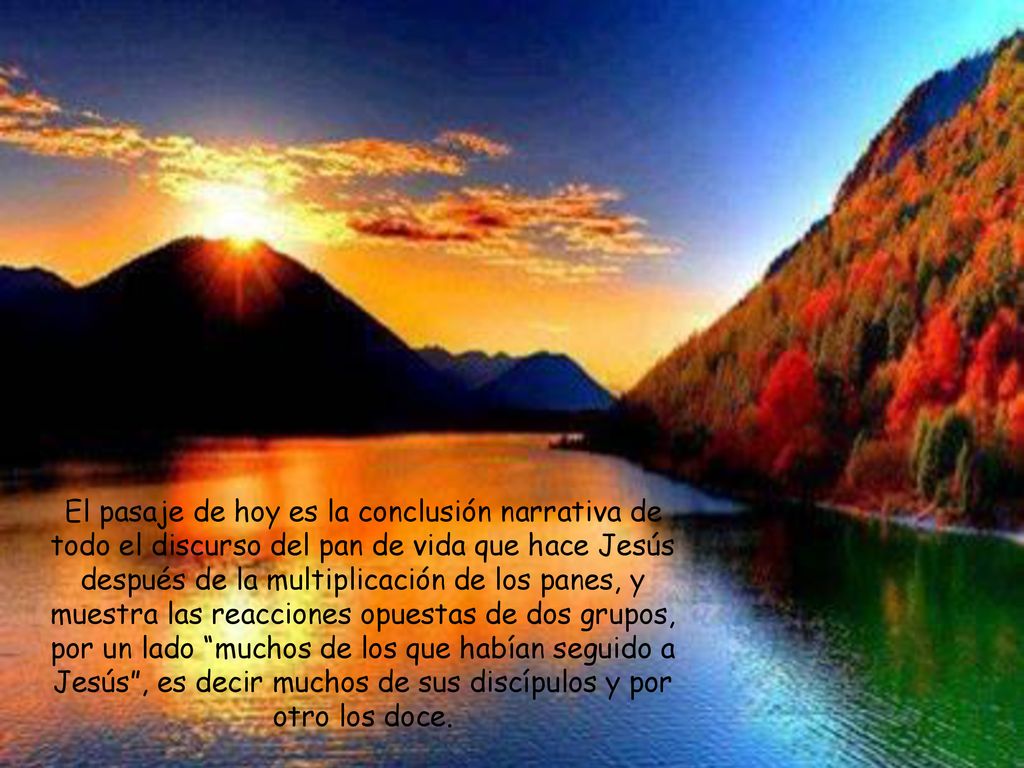 El pasaje de hoy es la conclusión narrativa de todo el discurso del pan de vida que hace Jesús después de la multiplicación de los panes, y muestra las reacciones opuestas de dos grupos, por un lado muchos de los que habían seguido a Jesús , es decir muchos de sus discípulos y por otro los doce.