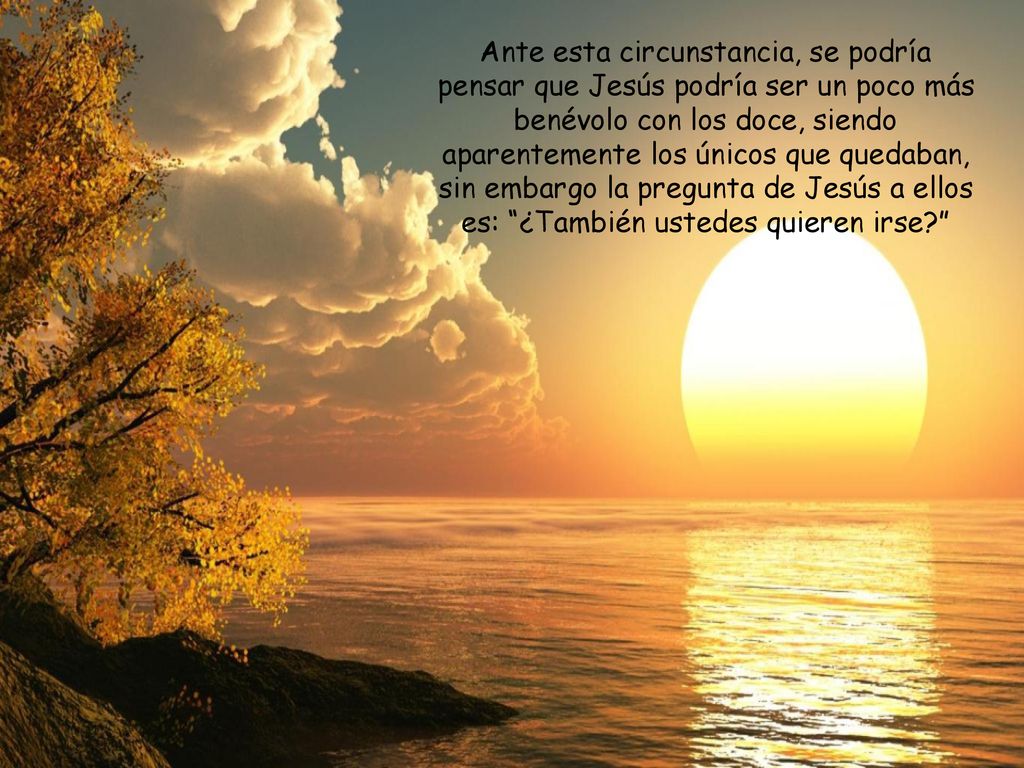 Ante esta circunstancia, se podría pensar que Jesús podría ser un poco más benévolo con los doce, siendo aparentemente los únicos que quedaban, sin embargo la pregunta de Jesús a ellos es: ¿También ustedes quieren irse