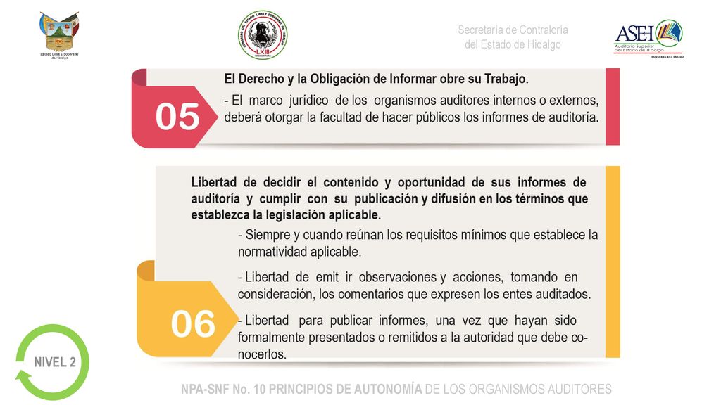 NPA-SNF No. 10 PRINCIPIOS DE AUTONOMÍA DE LOS ORGANISMOS AUDITORES