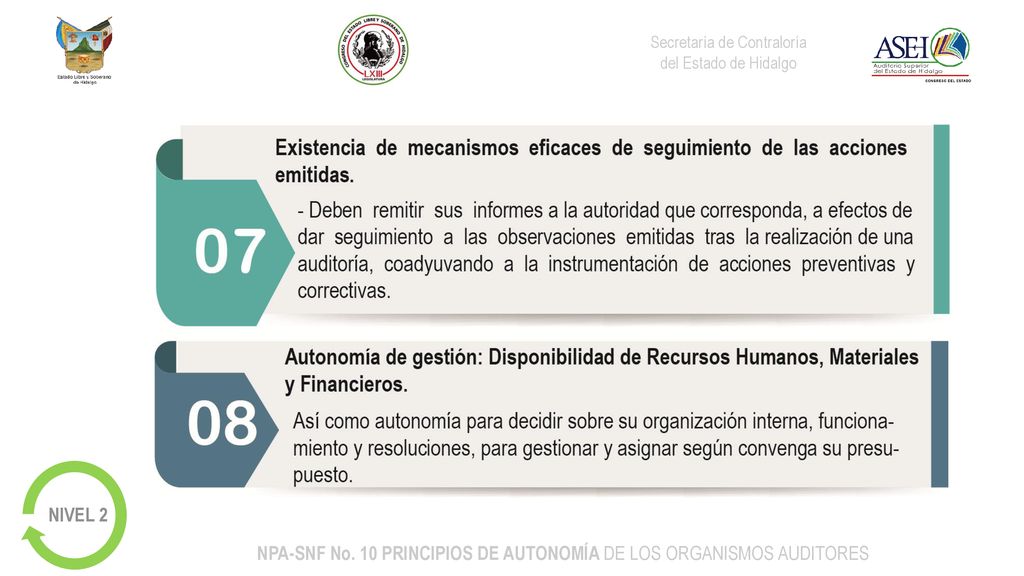NPA-SNF No. 10 PRINCIPIOS DE AUTONOMÍA DE LOS ORGANISMOS AUDITORES