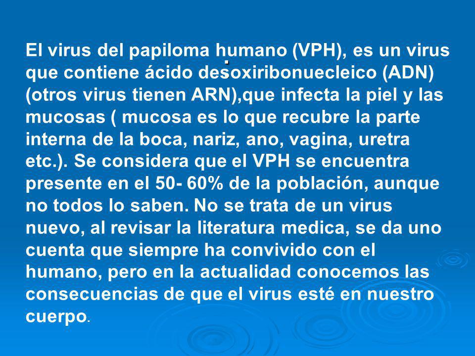 El virus del papiloma humano (VPH), es un virus que contiene ácido desoxiribonuecleico (ADN) (otros virus tienen ARN),que infecta la piel y las mucosas ( mucosa es lo que recubre la parte interna de la boca, nariz, ano, vagina, uretra etc.). Se considera que el VPH se encuentra presente en el % de la población, aunque no todos lo saben. No se trata de un virus nuevo, al revisar la literatura medica, se da uno cuenta que siempre ha convivido con el humano, pero en la actualidad conocemos las consecuencias de que el virus esté en nuestro cuerpo.