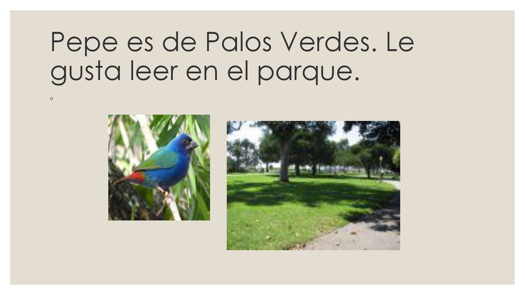 Pepe es de Palos Verdes. Le gusta leer en el parque.