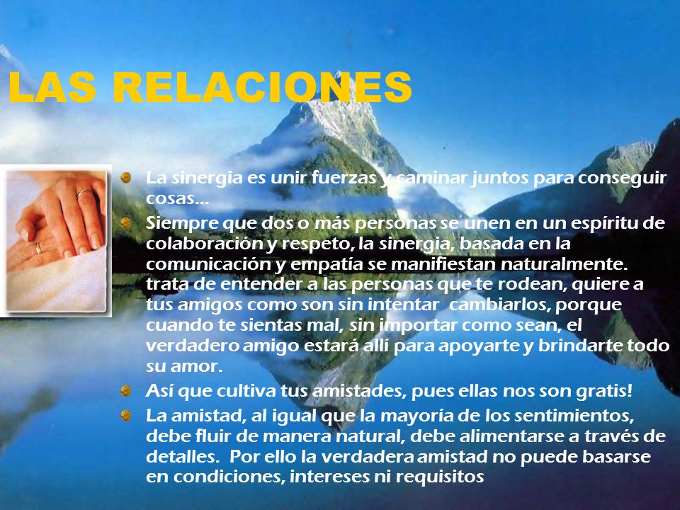 LAS RELACIONES La sinergia es unir fuerzas y caminar juntos para conseguir cosas...