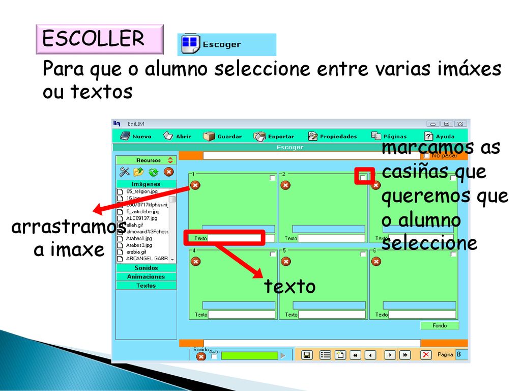 ESCOLLER Para que o alumno seleccione entre varias imáxes ou textos. marcamos as casiñas que queremos que o alumno seleccione.