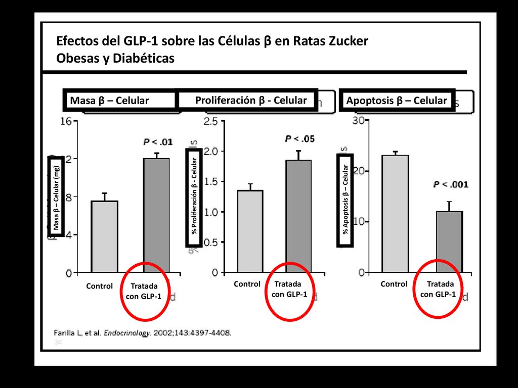 Efectos del GLP-1 sobre las Células β en Ratas Zucker