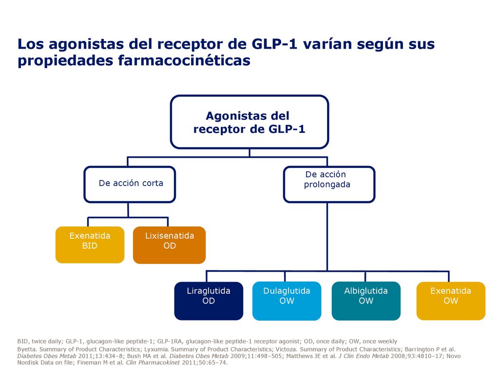 Los agonistas del receptor de GLP-1 varían según sus propiedades farmacocinéticas