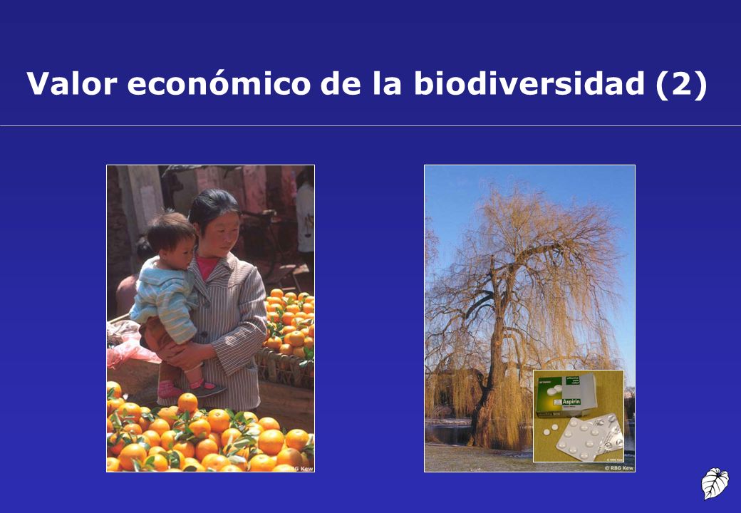 Valor económico de la biodiversidad (2)