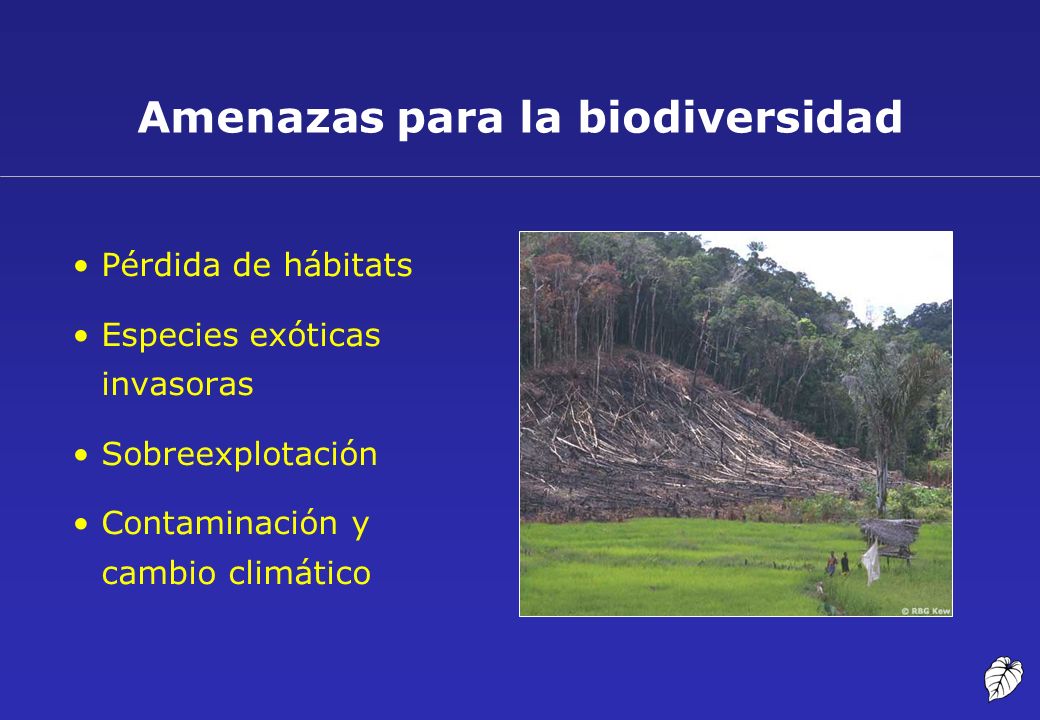 Amenazas para la biodiversidad