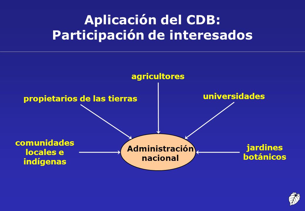 Aplicación del CDB: Participación de interesados
