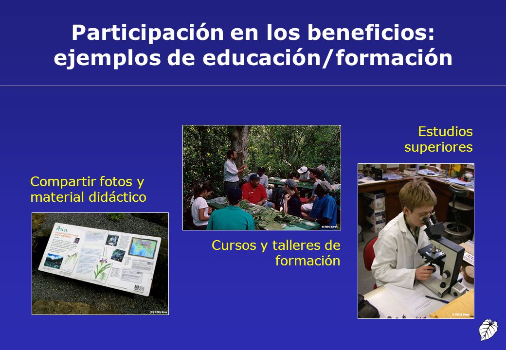 Participación en los beneficios: ejemplos de educación/formación