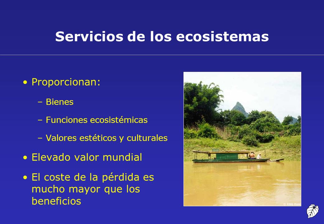Servicios de los ecosistemas