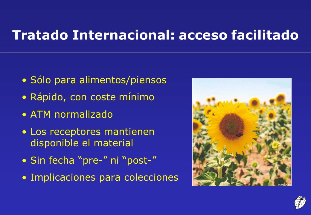Tratado Internacional: acceso facilitado