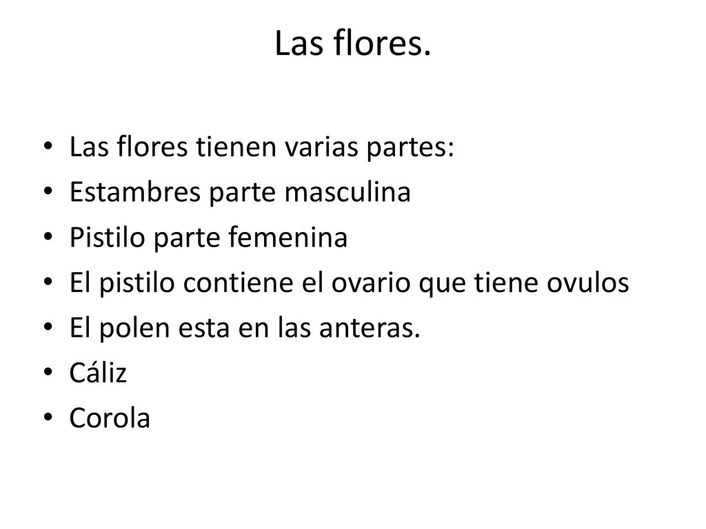 Las flores. Las flores tienen varias partes: Estambres parte masculina