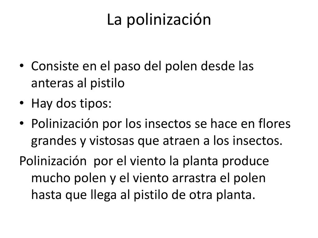 La polinización Consiste en el paso del polen desde las anteras al pistilo. Hay dos tipos: