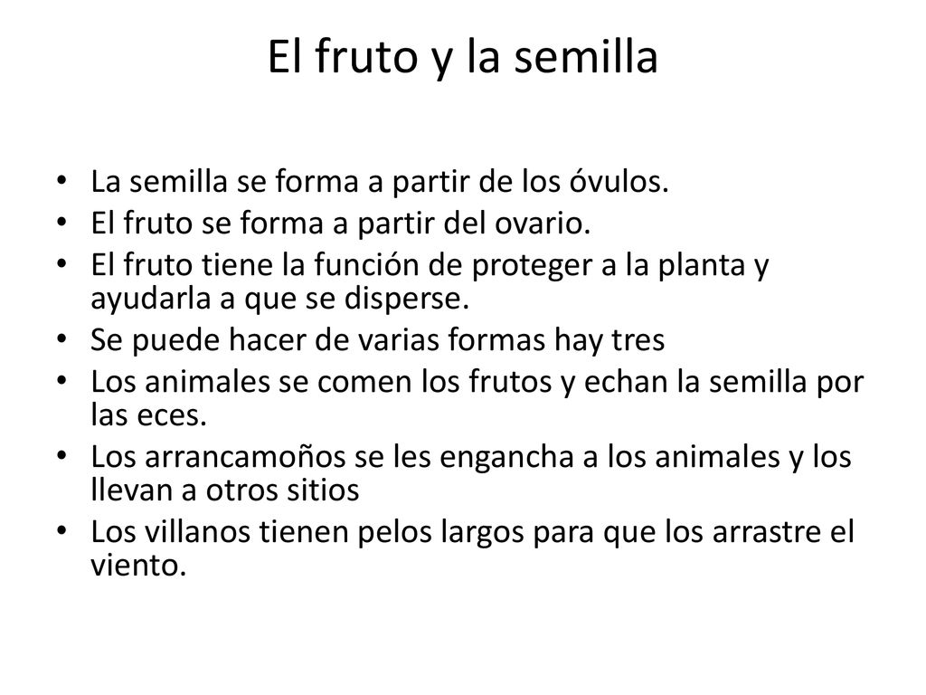 El fruto y la semilla La semilla se forma a partir de los óvulos.