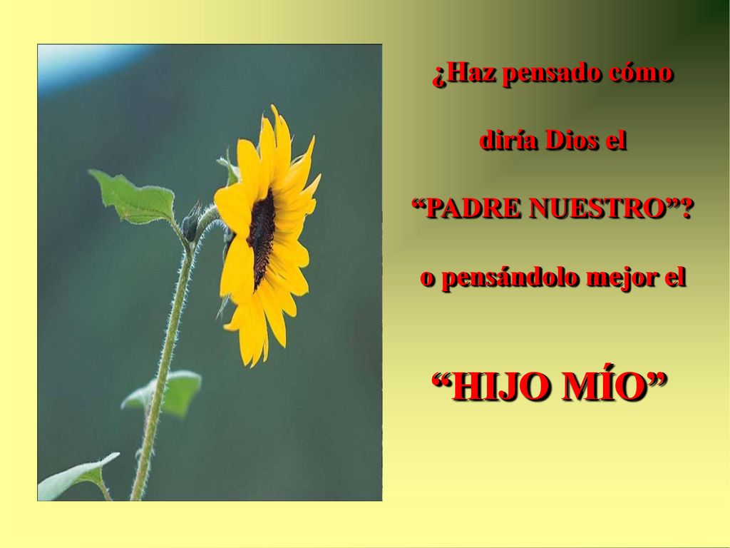 HIJO MÍO ¿Haz pensado cómo diría Dios el PADRE NUESTRO