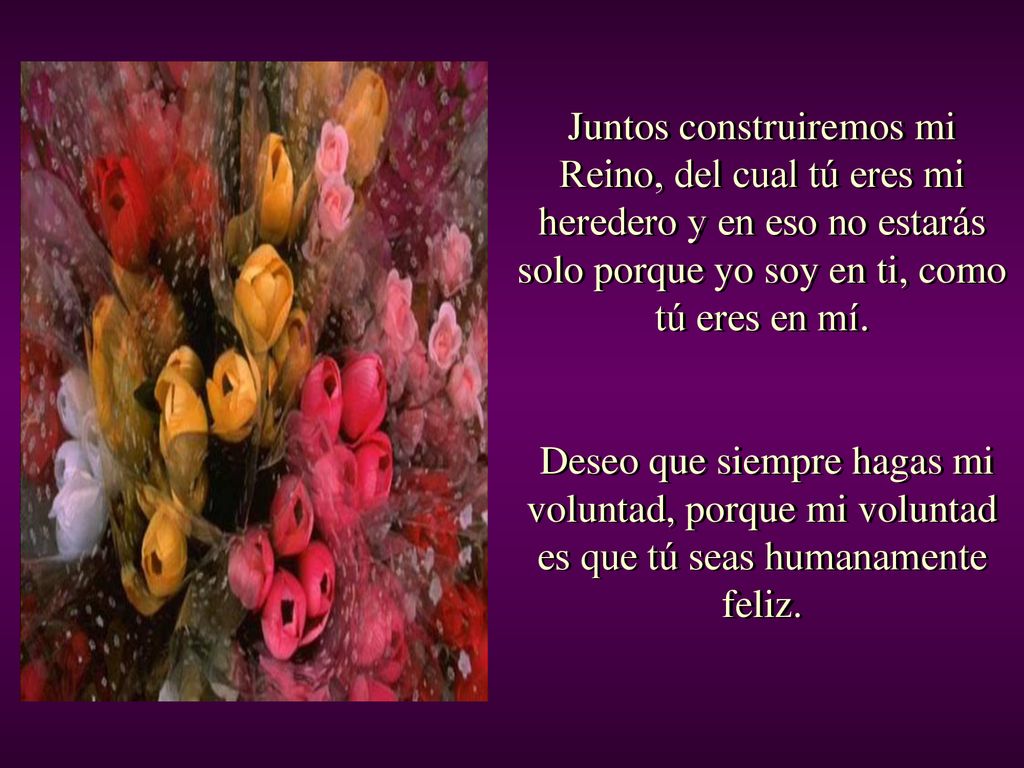 Juntos construiremos mi Reino, del cual tú eres mi heredero y en eso no estarás solo porque yo soy en ti, como tú eres en mí.