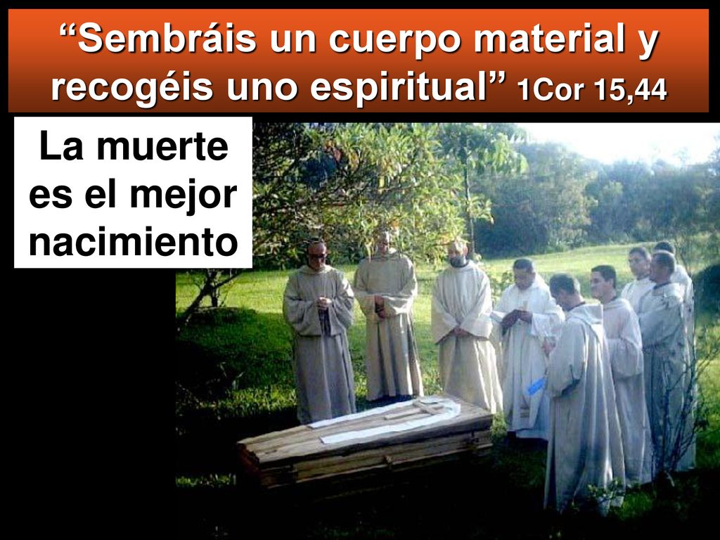 Sembráis un cuerpo material y recogéis uno espiritual 1Cor 15,44