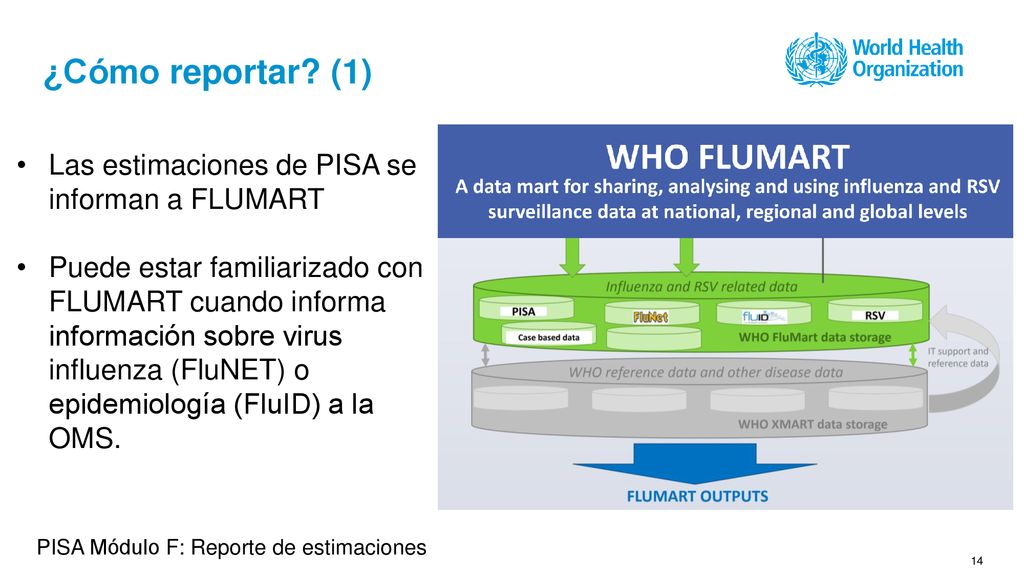 ¿Cómo reportar (1) Las estimaciones de PISA se informan a FLUMART