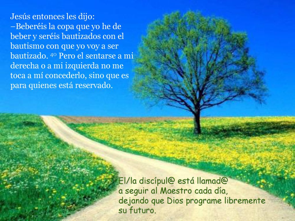 Jesús entonces les dijo: –Beberéis la copa que yo he de beber y seréis bautizados con el bautismo con que yo voy a ser bautizado. 40 Pero el sentarse a mi derecha o a mi izquierda no me toca a mí concederlo, sino que es para quienes está reservado.