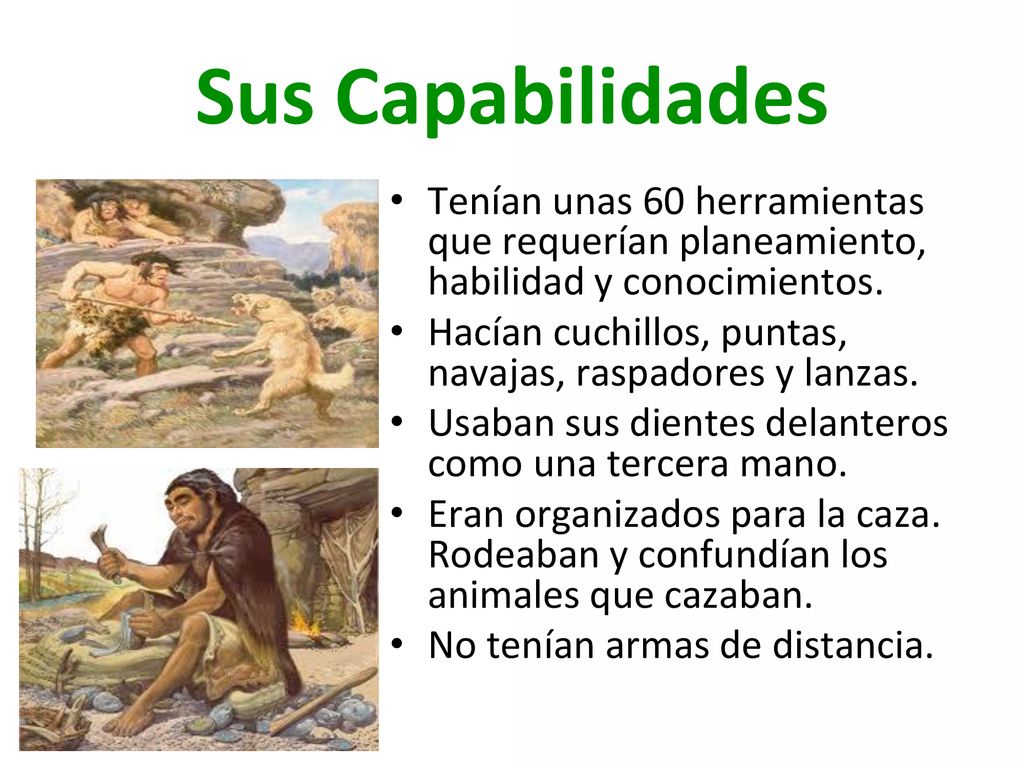 Sus Capabilidades Tenían unas 60 herramientas que requerían planeamiento, habilidad y conocimientos.