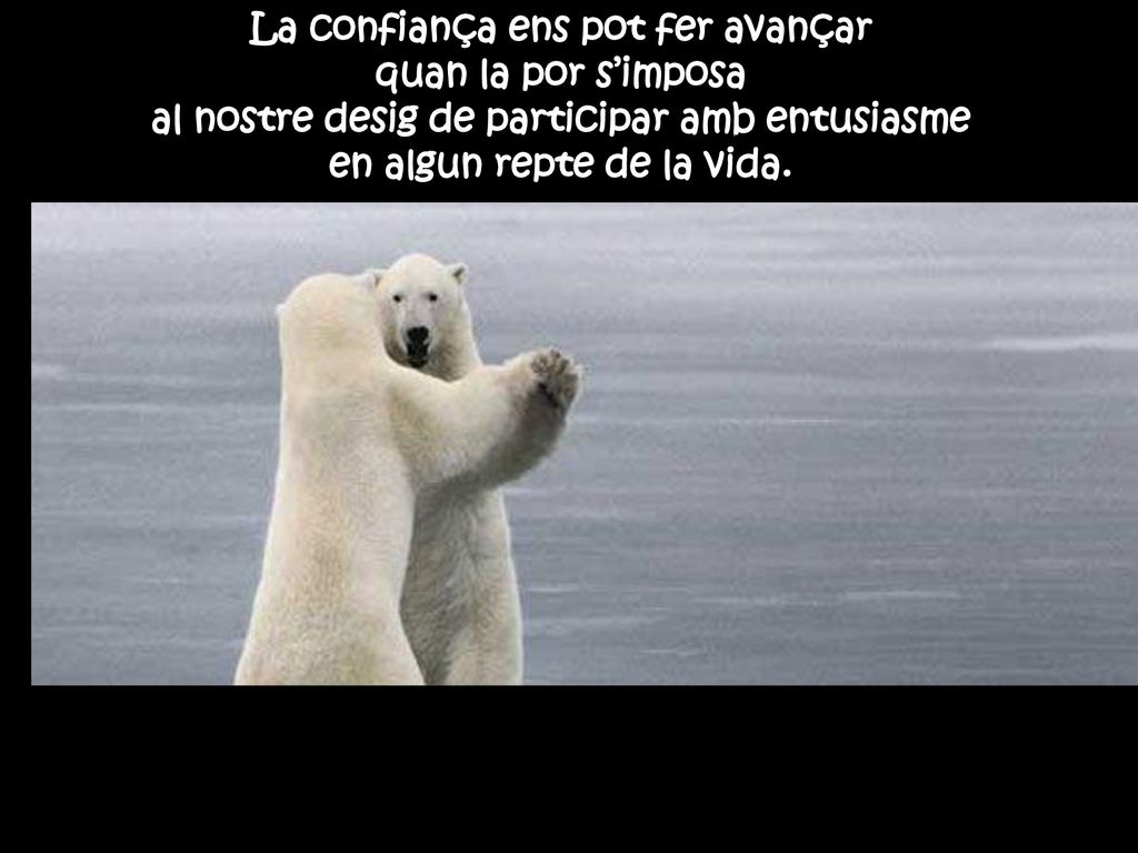 La confiança ens pot fer avançar quan la por s’imposa al nostre desig de participar amb entusiasme en algun repte de la vida.