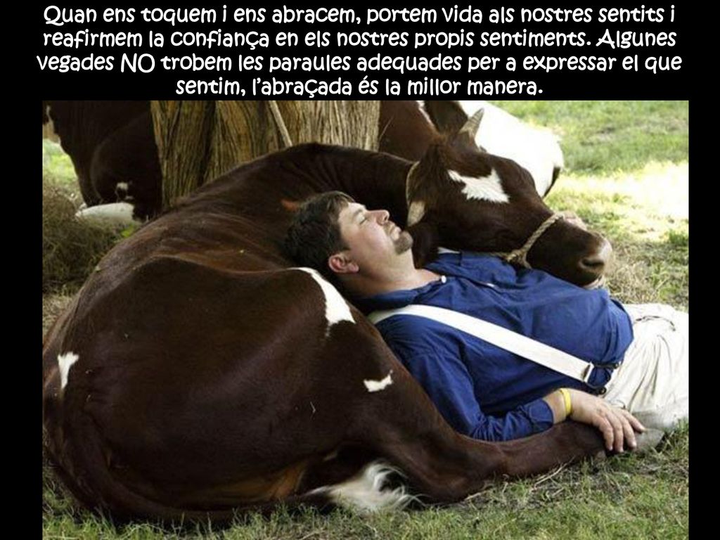 Quan ens toquem i ens abracem, portem vida als nostres sentits i reafirmem la confiança en els nostres propis sentiments.