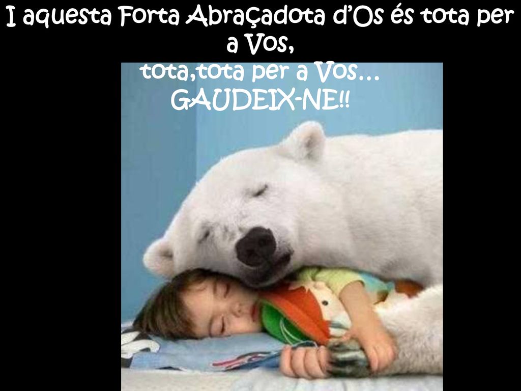 I aquesta Forta Abraçadota d’Os és tota per a Vos,