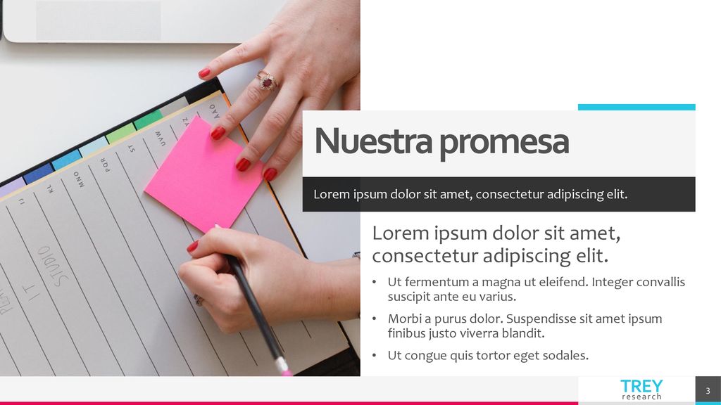 Nuestra promesa Lorem ipsum dolor sit amet, consectetur adipiscing elit. Lorem ipsum dolor sit amet, consectetur adipiscing elit.