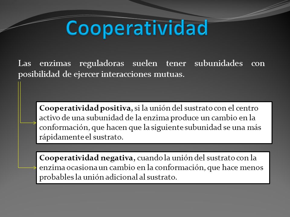 Cooperatividad Las enzimas reguladoras suelen tener subunidades con posibilidad de ejercer interacciones mutuas.