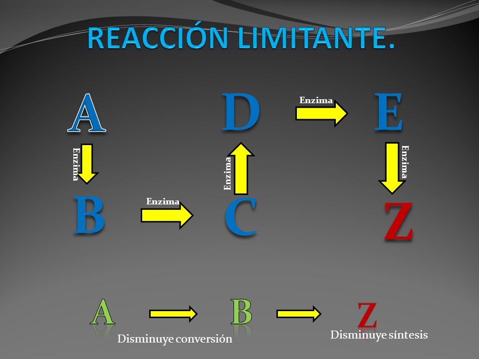 A D E B C Z a B Z REACCIÓN LIMITANTE. Disminuye síntesis