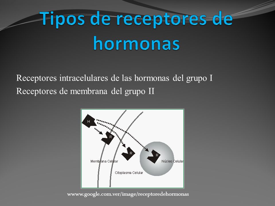 Tipos de receptores de hormonas