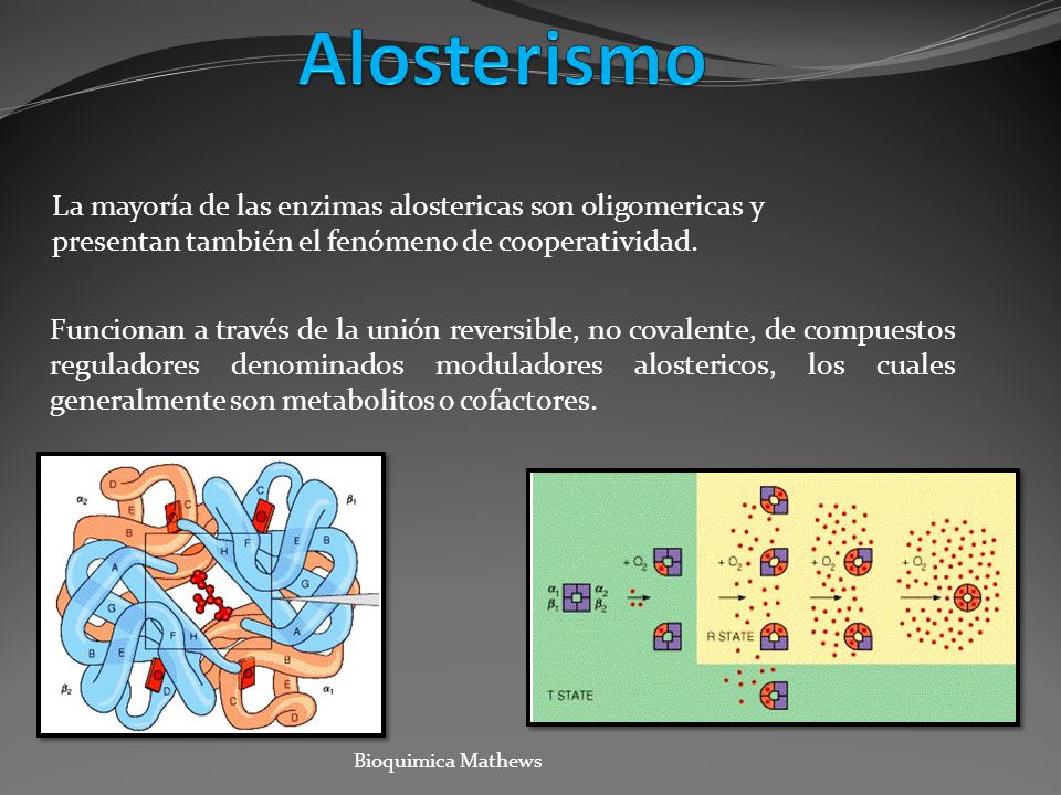 Alosterismo La mayoría de las enzimas alostericas son oligomericas y presentan también el fenómeno de cooperatividad.